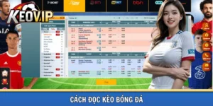 Cách đọc kèo bóng đá chuyên nghiệp