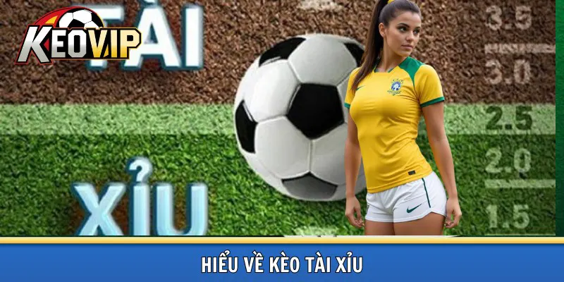 Tìm hiểu về kèo tài xỉu