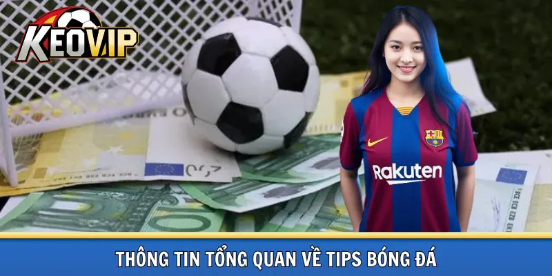 Tổng quan về tips bóng đá