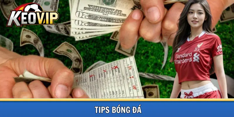 Tip bóng đá là gì?