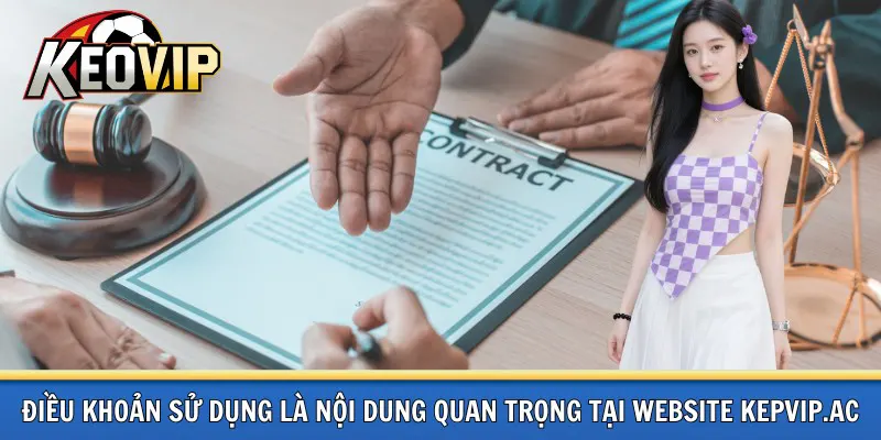 Điều khoản sử dụng nội dung quan trọng
